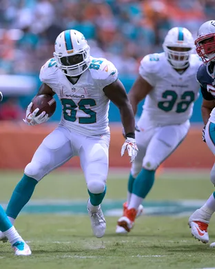 Miami Dolphins Las Vegas